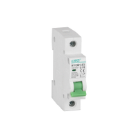 HYCB1-63(C45N) Miniature Circuit Breakers
